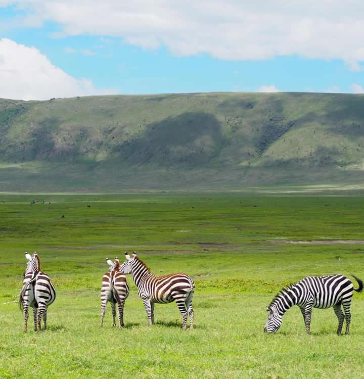 Ngorongoro – tanzania